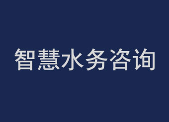 智慧水務(wù)咨詢(xún)