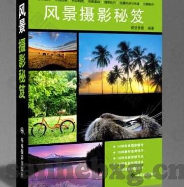 大象传媒系列视频网站-大象传媒系列视频网站，重塑数字娱乐新生态的探索