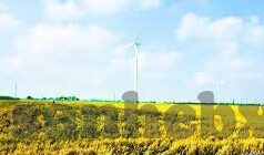 国产免费av麻豆-中国成人影视文化中的国产免费AV麻豆，现状与思考
