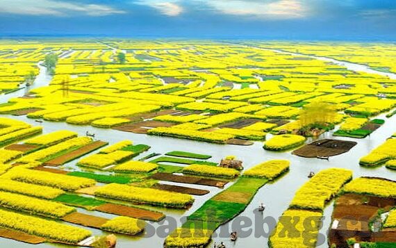 中文字幕文件下载-探索中文字幕文件下载的便捷与挑战